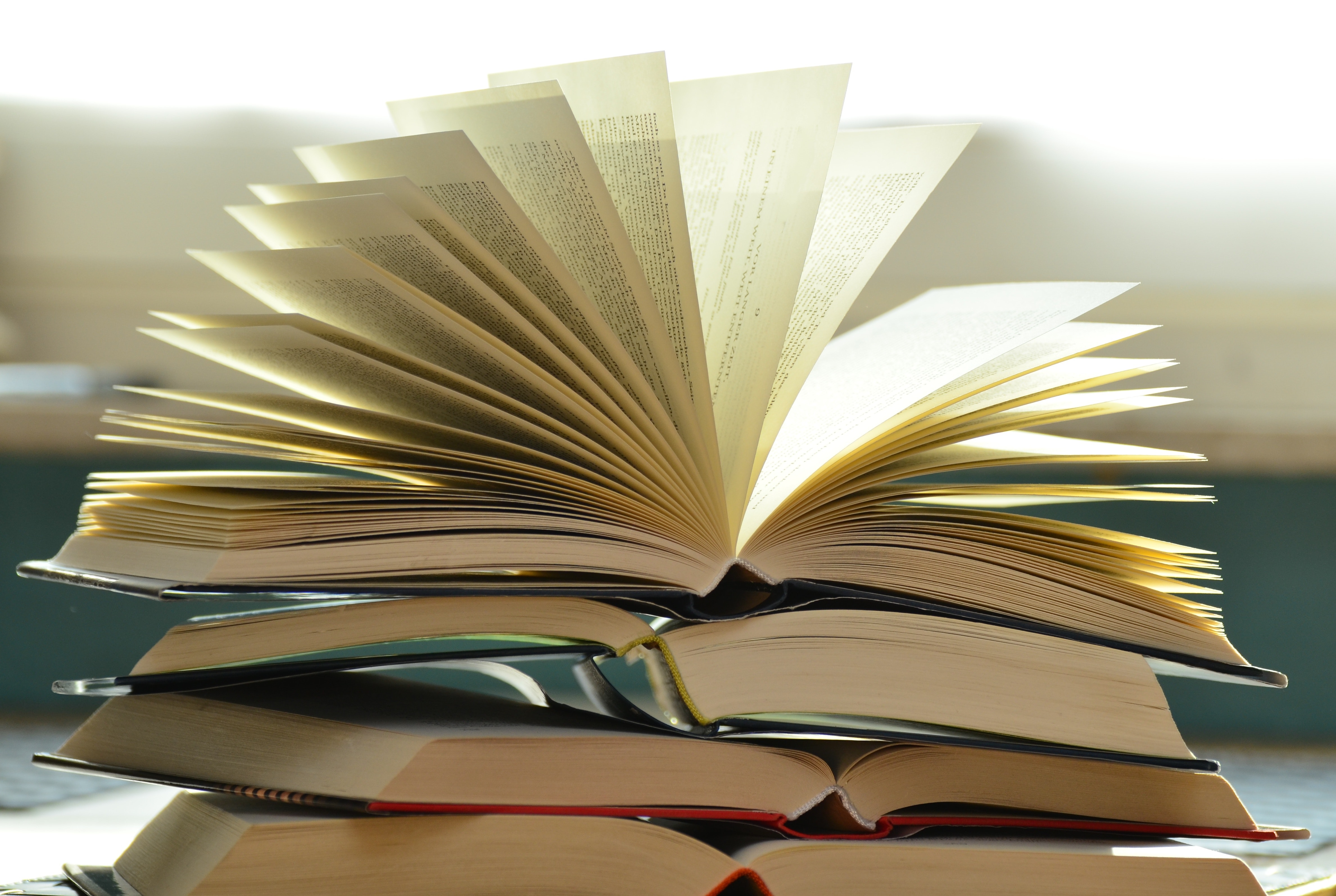 syllabus banner